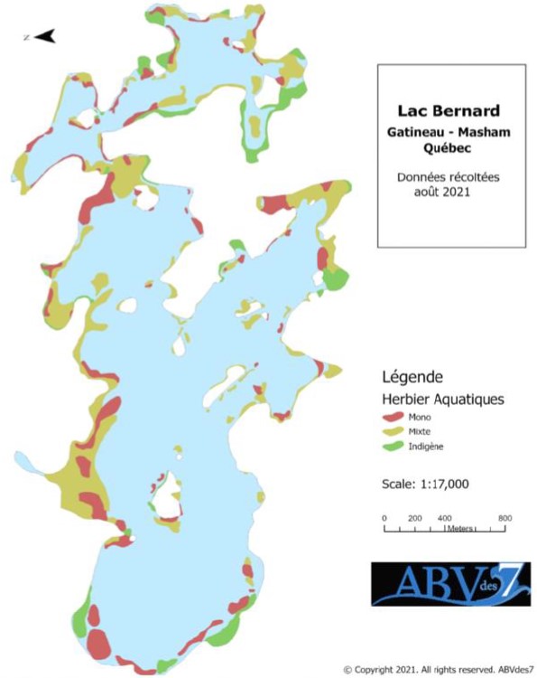 Carte du myriophylle ABV des 7